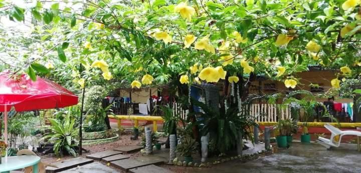 Ennas Place Coron Buitenkant foto